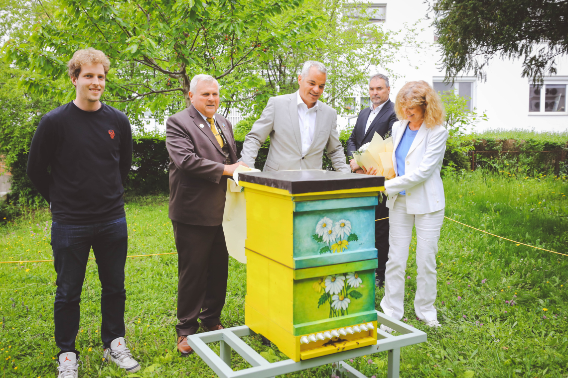 Na dvorišču mariborske občine postavili urbani čebelnjak