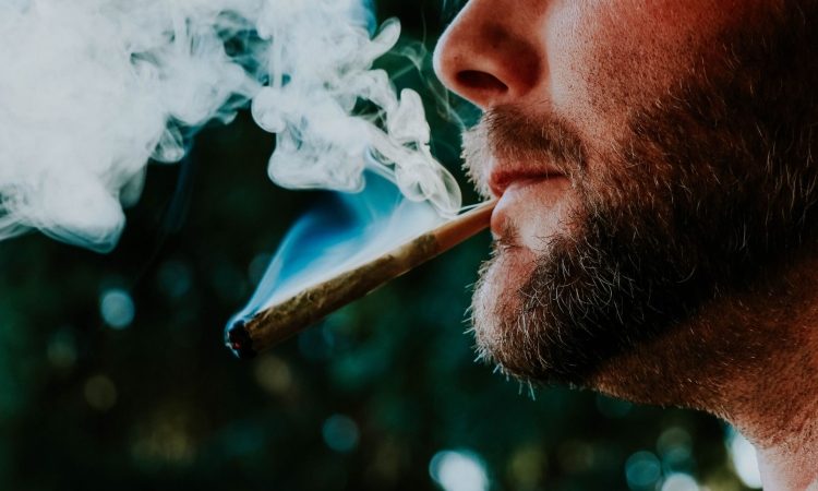 V Ljubljani danes Marihuana marš v podporo legalizaciji konoplje