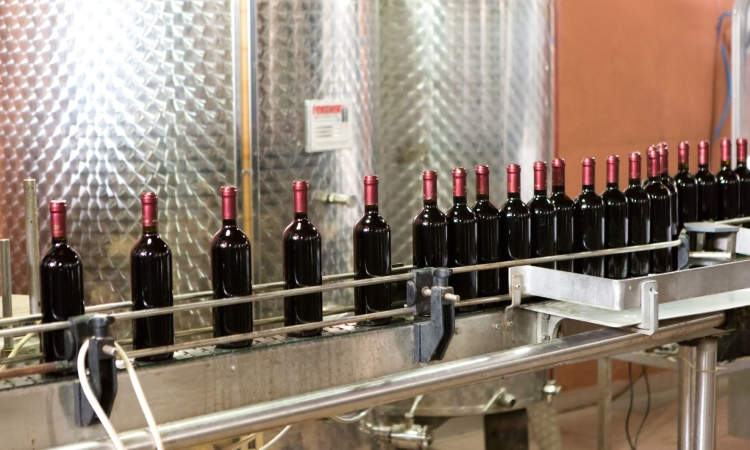 Največ vina pridelajo v Franciji, Italiji in Španiji