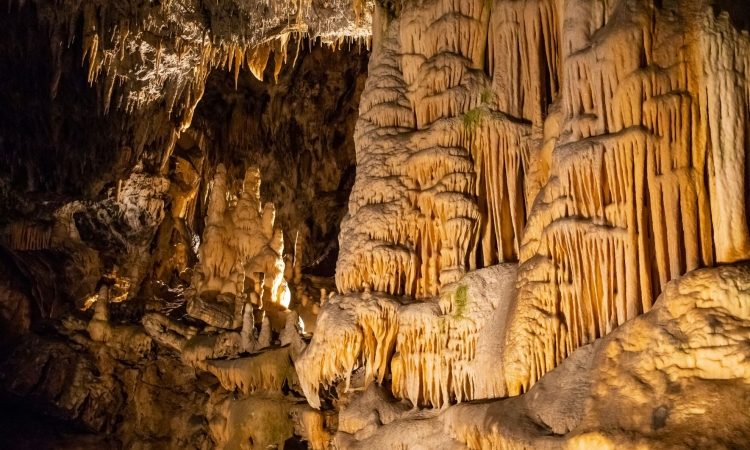 Postojnska jama Občini Postojna namenila 2,5 milijona evrov dividend