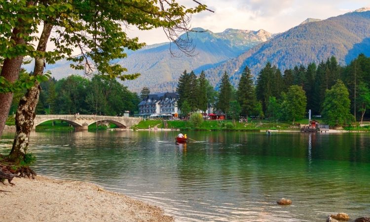 Zastrupitve ljubljenčkov v Bohinju sprožile obsežne preiskave