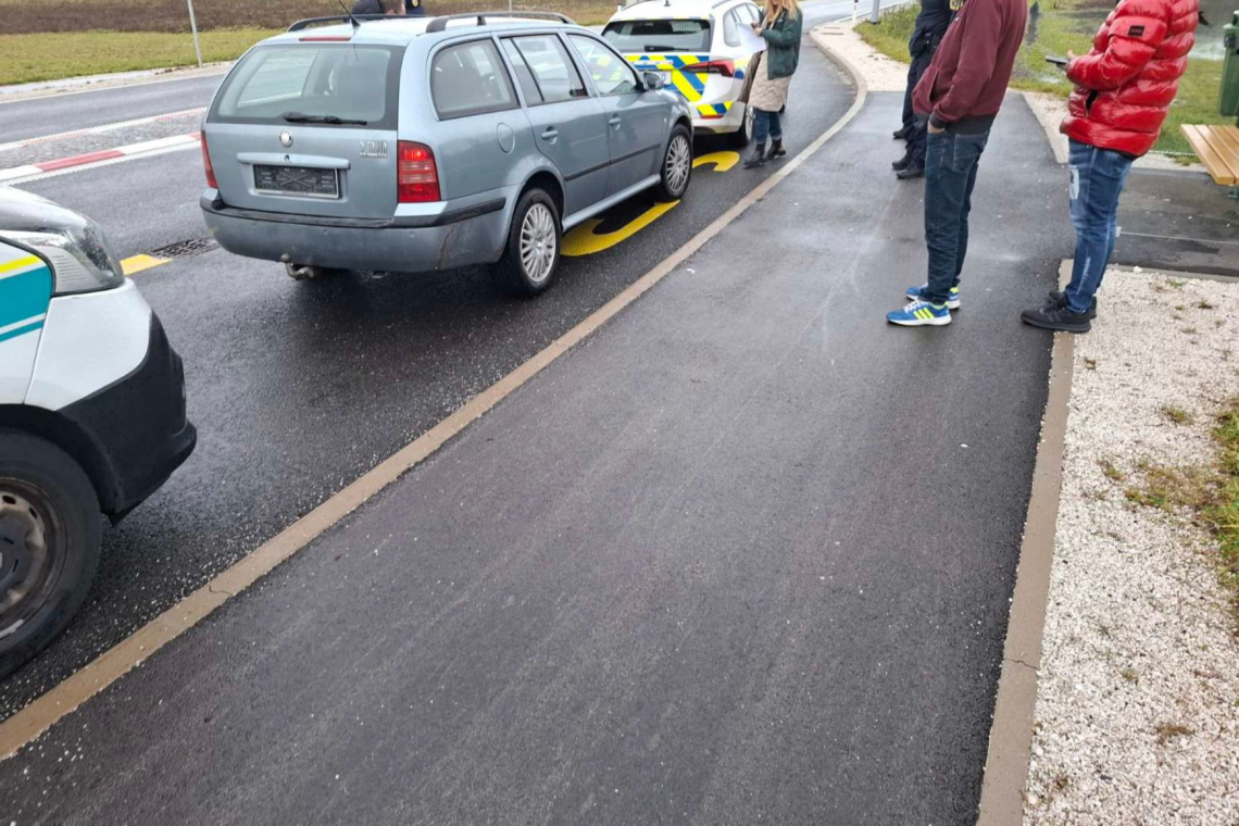 Policija in inšpektorji skupaj v nadzorih na območju Ribnice in Kočevja
